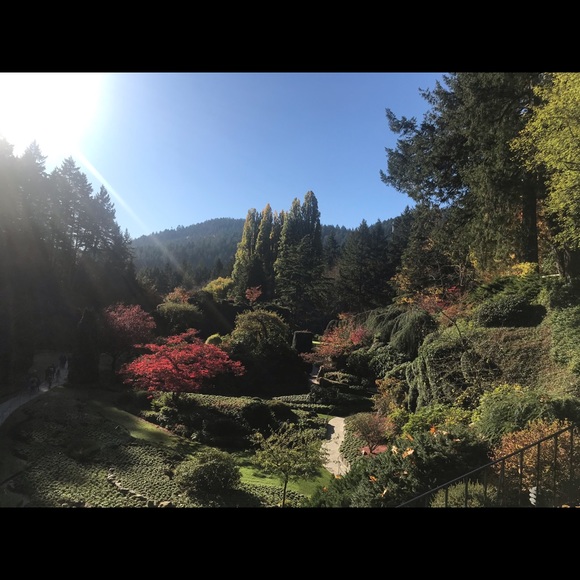 Meet your Posher, Jessica - Picture 1 of 1